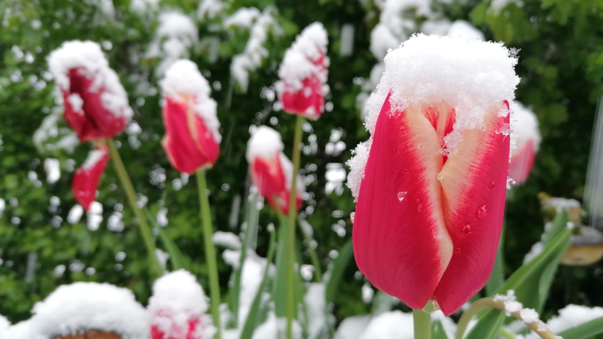 Schnee Der Winter Meldet Sich Zur Ck Bildergalerie Hessenschau De