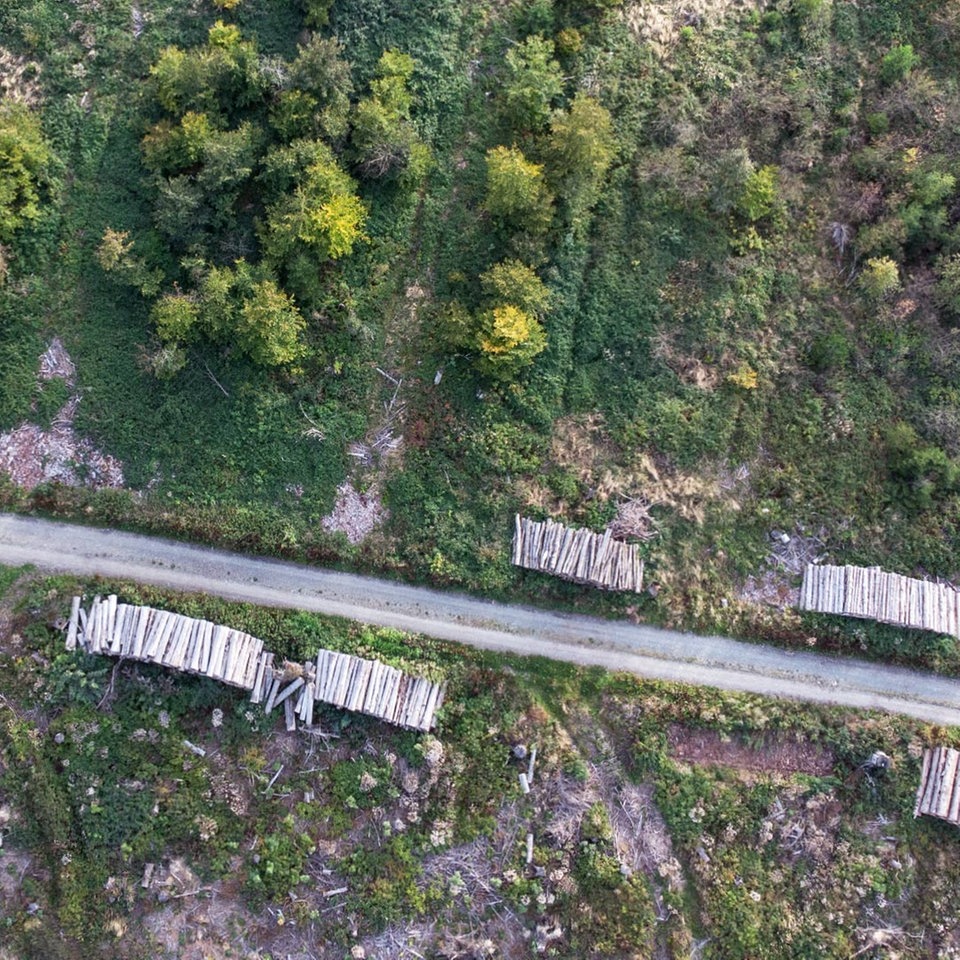 Klimawandel in Hessen Was sich in Frankfurt verändern wird