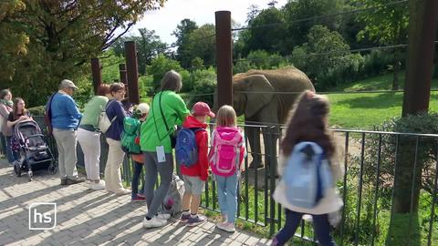 Gruppe vor Elefont im Zoo