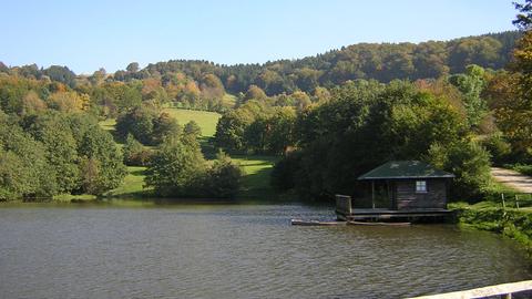 Guckaisee