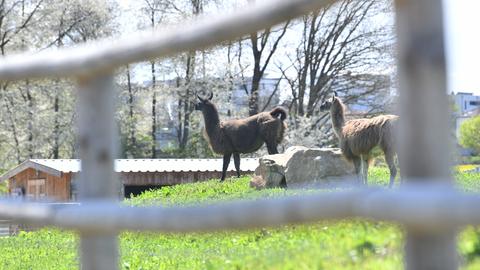 Landesgartenschau Fulda