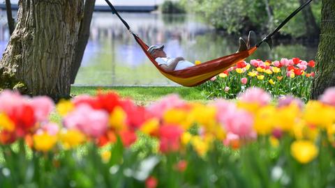 Landesgartenschau Fulda