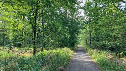 Sieben Frankfurter Wälder