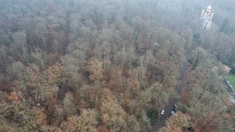 Blick in den Wald auf dem Neroberg, Teil des Stadtwaldes Wiesbaden.