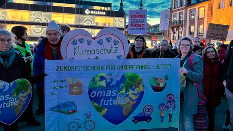 Auch für mehr Klimaschutz wurde protestiert.