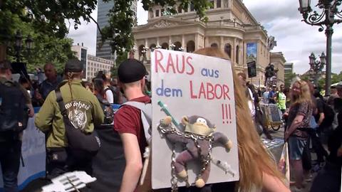 Demonstrierende in Frankfurt
