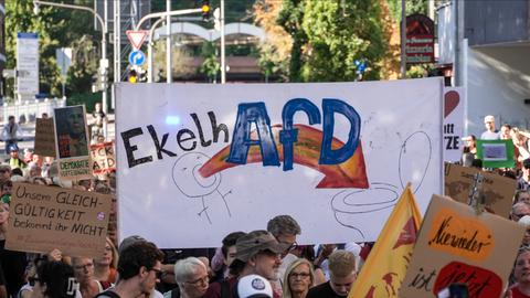 Plakat mit der Aufschrift "EkelhAfD" und Demonstrierende in Hofheim