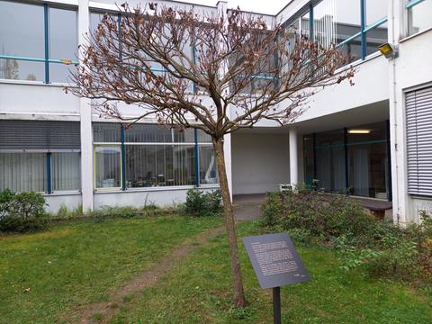 Baum und Gedenktafel vor Gebäude der Hochschule Darmstadt