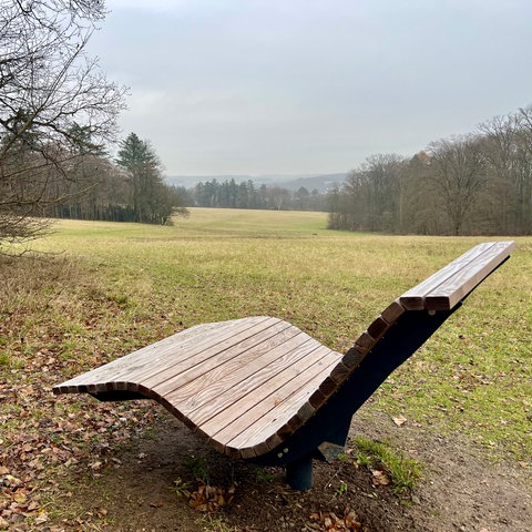 Holzliege im Wald mit Blick