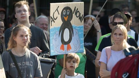 Ein Kind hält bei der Klimademo von Fridays for Future in Frankfurt ein Schild mit einem gemalten Pinguin und dem Schriftzug "Act Now!" in die Höhe