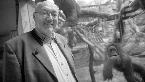 Der damalige Direktor des Frankfurter Zoos, Manfred Niekisch, im Dezember 2017 vor dem Orang-Utan Gehege. 