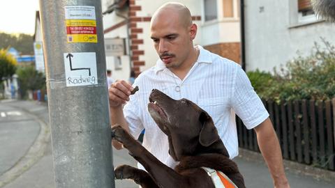 Mann mit Blindenführhund an Ampel