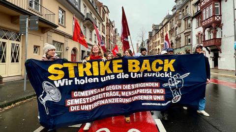 Protestzug von vorne mit Schild: Strike Back - wir holen uns die Uni zurück