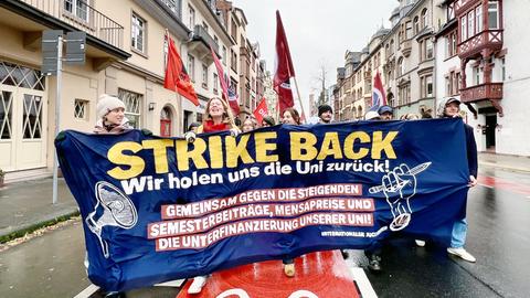 Protestzug von vorne mit Schild: Strike Back - wir holen uns die Uni zurück