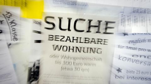 Eine Suchanzeige für eine "bezahlbare Wohnung" hängt in Frankfurt in der Goethe-Universität an einem schwarzen Brett 