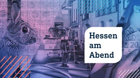 Collage aus drei Fotos in Form von schrägen Streifen nebeneinander: links ein Kaninchenkopf, in der Mitte ein Feuerwehreinsatz in einer Straße, rechts eine Hand mit Geldscheinen. Darauf eine weiße Blase mit zwei gerundeten Ecken in welcher mit dunkler Schrift "Hessen am Abend" steht.