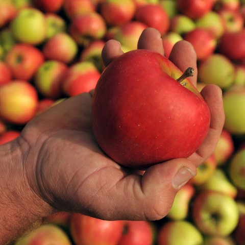Eine Hand mit einem Apfel