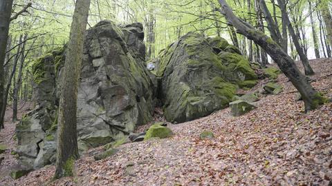 Das Bild zeigt zwei graue Felsbrocken, die von Moos bewachsen sind.