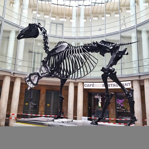 Die überdimensionale Bronzeplastik eines Pferdeskeletts steht vor der Kunsthalle Schirn Frankfurt.