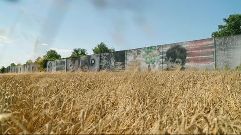 Eine Lärmschutzwand mit Graffiti, im Vordergrund ein Weizenfeld.