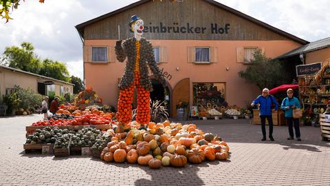 Kürbisparadies in Weiterstadt