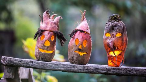 Aus Rüben geschnitzte Halloween-Gesichter