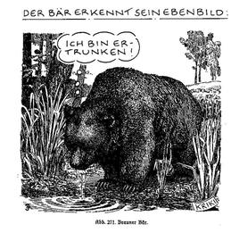 Gezeichneter Cartoon: Ein Bär sieht sein Spiegelbild im Wasser, Denkblase: "Ich bin ertrunken"