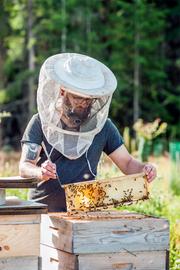 Marcel Willared mit den Bienen. 