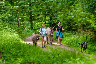 Natascha Glosauer (rechts) vom Eselhof Binzig in Wald-Michelbach bei einem Spaziergang mit ihren Eseln.