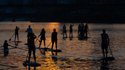 Stand-Up-Paddler auf dem Main bei Frankfurt