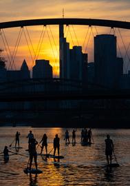 Stand-Up-Paddler auf dem Main bei Frankfurt