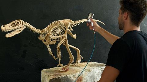 Modellbauer besprüht ein Modell eines Dino-Skelettes