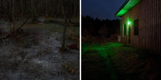 Linkes Bild: Sumpf im Urwald von Białowieża / Grünes Licht an einem Haus nahe der belarussischen Grenze