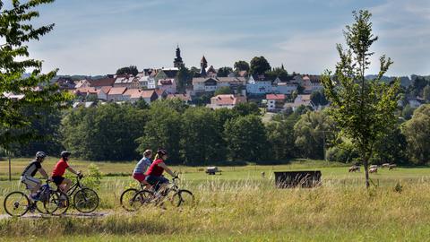 Das Bild zeigt vier Fahrradfahrer, die über einen geteerten Fahrradweg fahren. Links und rechts davon befinden sich Wiesen. Im Hintergrund ist eine Stadt zu sehen.