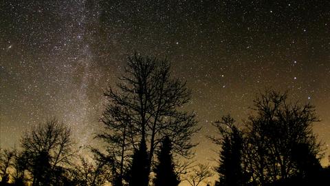 Foto eines Nachthimmels mit sehr vielen Sternen über dem Schwarzen Moor in der Rhön. Am unteren Bildrand Gebüsch und Bäume, sehr dunkel als Schattenriss. 