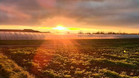 Momentaufnahme Sonnenuntergang