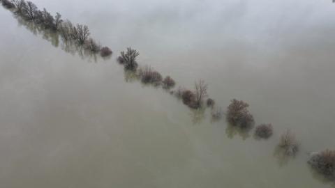 Bäume ragen nahe der Mariannenaue im Hochwasser des Rheins aus den Fluten (Luftaufnahme mit einer Drohne). 