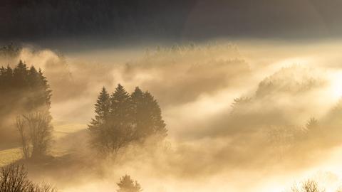 Die Sonne scheint auf den Morgennebel bei Schmitten-Seelenberg.