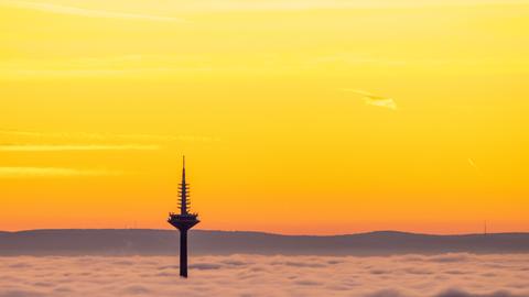 Die Hochhäuser der Frankfurter Skyline ragen am Morgen bei Sonnenaufgang aus dem Nebel.