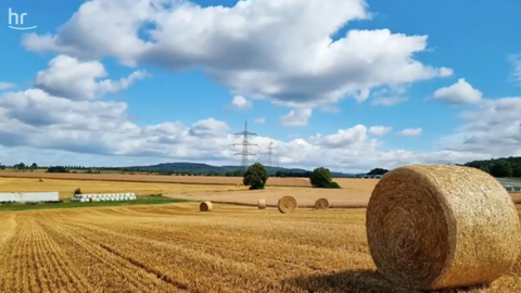 Strohballen auf einem Feld im Main-Kinzig-Kreis