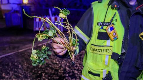 Einsatzleiter zeigt Pflanze