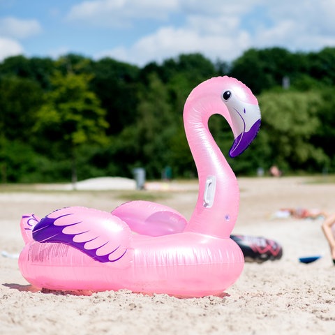 Badeinsel Flamingo