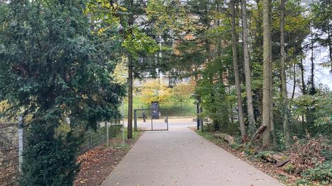 Ein gepflasterter Weg - am Ende begrenzt mit einem Tor, dessen eine Hälfte offen steht. Der Weg ist von Bäumen und mit Gebusch gesäumt. 