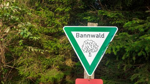 Schild im Wald am Hohen Meißner weist auf Bannwald hin