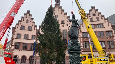 Baum steht vor Römer, davor Justizia-Brunnen und zwei Autokräne