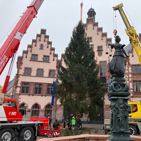 Vor dem Römer steht ein Baum, davor der Gerechtigkeitsbrunnen und zwei Mobilkräne