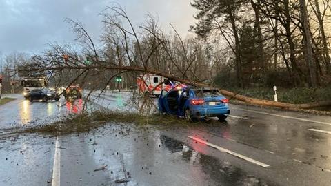 In Dietzenbach fiel ein Baum auf einen fahrenden Wagen. 