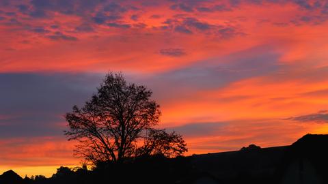 "... so wie heute morgen dürfte jeder Tag in Grebenau anfangen, alles voller Farben, einfach toll ..."