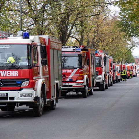 Das Bild zeigt eine breite, von Laubbäumen gesäumte Straße. Am linken Bildrand parken mehrere Feuerwehrautos hintereinander.