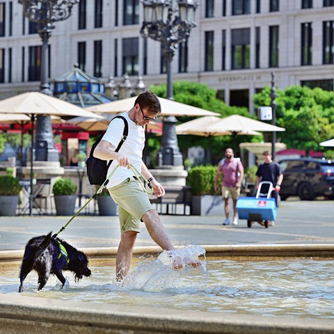 Ein Mann mit Hund planscht in einem Brunnen auf dem Frankfurter Opernplatz.